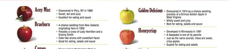A to Z History of New York State Apples