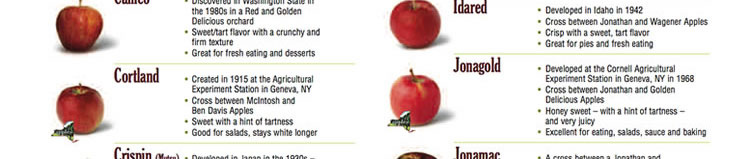 A to Z History of New York State Apples