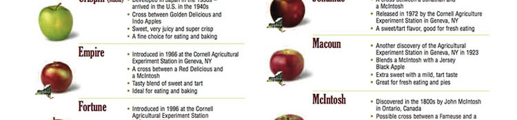 A to Z History of New York State Apples