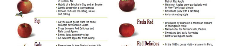 A to Z History of New York State Apples