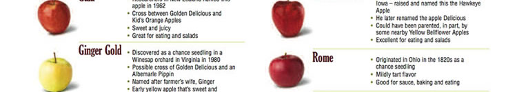 A to Z History of New York State Apples