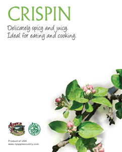 Crispin Apple Card