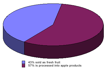 Apple Pie Chart
