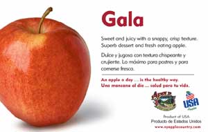 Gala Apple Point-of-Sale Card