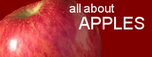 All About Apples Logo