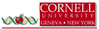Cornell University Logo