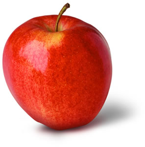 Gala Apple Photo