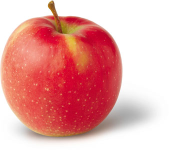 Jonagold Apple Photo