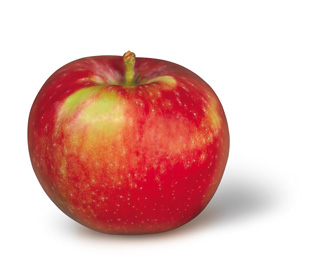 Paula Red Apple Photo