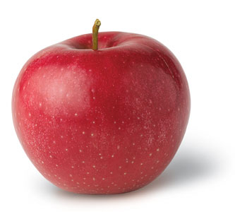 Red Rome Apple Photo