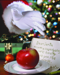 santamcintosh 200x248pix