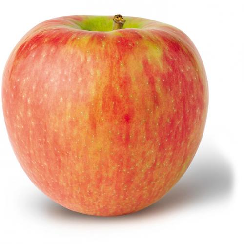 Honeycrisp