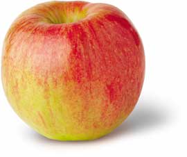 Honeycrisp Apple