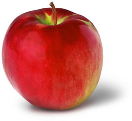 Cortland Apple