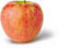 Honeycrisp Apple