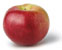 Macoun Apple