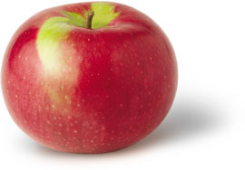 McIntosh Apple