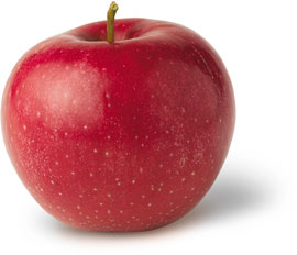 Red Rome Apple