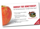 Honeycrisp Demo/Recipe Card