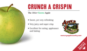 New Recipe Cards - Crispin